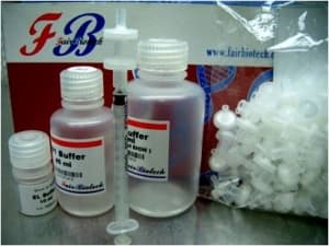Super Rapid Gel Extraction-PCR Clean Up Kit